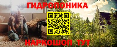 гашик Ипатово