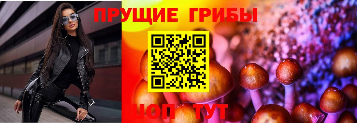 Псилоцибиновые грибы мицелий Майский